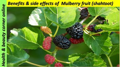 10 surprising benefits of mulberry fruit. uses, benefits and side effects of mulberry fruit.