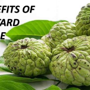 8 health benefits of custard apple (sitaphal)