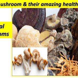 medical mushrooms🍄.the healing power of mushrooms,reishi,chaga,shiitake, lion's mane,turkey tail