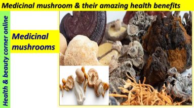medical mushrooms🍄.the healing power of mushrooms,reishi,chaga,shiitake, lion's mane,turkey tail