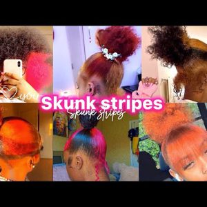 Skunk Stripes Hairstyles Ideas 💡💖