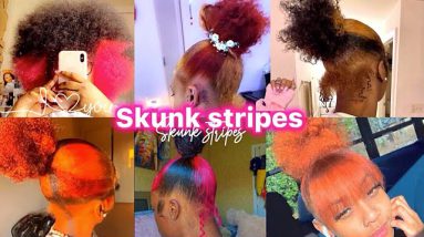 Skunk Stripes Hairstyles Ideas 💡💖
