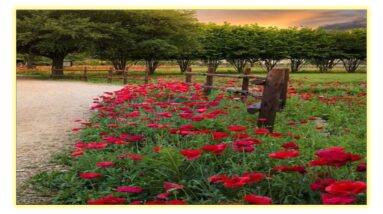 live on ha friends.  gup shap time