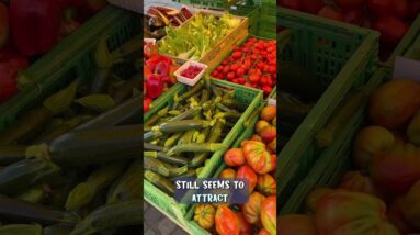 Mornings in Italy🌞