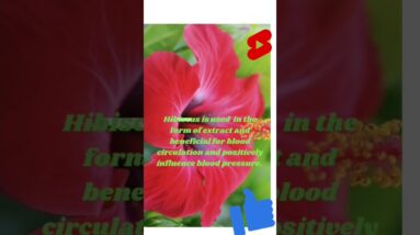 how to cope and strengthen heart #shorts #viralshort #youtubeshorts #healthandbeautycorneronline