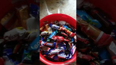 Season's greetings celebrations worldwide #chocolates #shorts #viralshorts