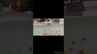 Rose petal bath 🛁with relaxing environment😌🌹 #shorts #ytshort #viralshorts #luxury #rosepetals #usa