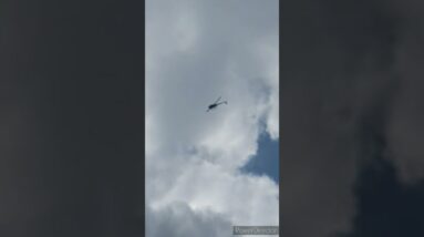 Helicopter or Grass hopper 🤔😍 #shorts #viralshort #ytshorts #tiktok #worldwide #shinewithshort