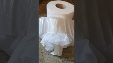 WATER PROOF toilet roll😜🤭 #youtubeshorts #viralshort #worldwide #subscribe #toilet #shinewithshorts