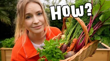 How did I grow this?!🥕