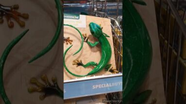 Beautiful Decorative Wall Gecko available in Aldi🤩😍 #shorts #viralshort #tiktok #shinewithshort