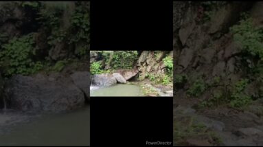 Relaxing waterfall Sound #shorts #beautiful #short #trending #peace