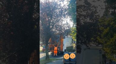 OMG What is it? Leave a comment 😱😲 #viralshorts #viralvideo #worldwide #tiktok #shinewithshort