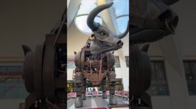 New Bull in Grand Central😍🤩 #shorts #viralshort #worldwide #grandcentral #newstreet