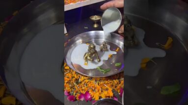 पंचामृत स्नान laddu gopal 🌸 #youtubeshorts #shorts #janmashtami