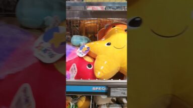 Under sea the sea Squishess in Aldi😍🥰 #viralvideo #worldwide #viralshort #sealife #tiktok