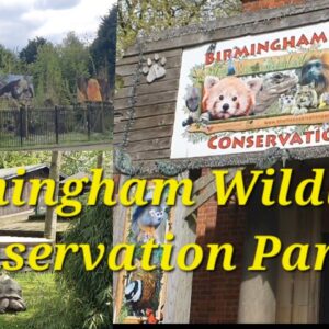 Hidden Gem Birmingham Wildlife Conservation Park 4KHDR #hiddengem