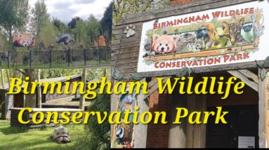 Hidden Gem Birmingham Wildlife Conservation Park 4KHDR #hiddengem