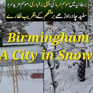 Heavy Snow in Birmingham|| A City in snow 🇬🇧 2024||  #ukweather #brum