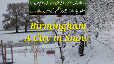 Heavy Snow in Birmingham|| A City in snow 🇬🇧 2024||  #ukweather #brum