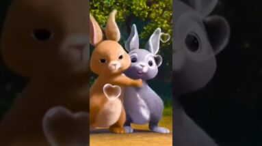 cute bunny video ,kids video, #baby #kidssong #animation