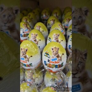 Mufasa Kinder surprise Egg variety in Candy Shop🤩 #trendingviralshorts #trendingshorts #trending