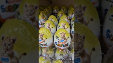 Mufasa Kinder surprise Egg variety in Candy Shop🤩 #trendingviralshorts #trendingshorts #trending