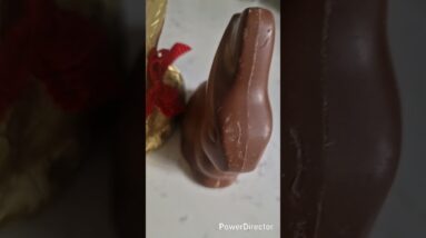 Lindt Bunny Chocolate: The Latest Viral Trend You Need to Try! 14 Lindt bunny chocolate π #trendingviralshorts #trendingshorts #trending